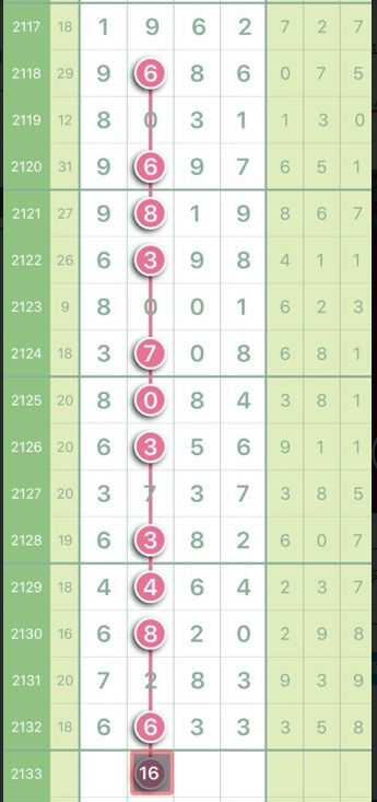 王中王精准六肖六码资料解析，王中王精准六肖六码资料深度解析