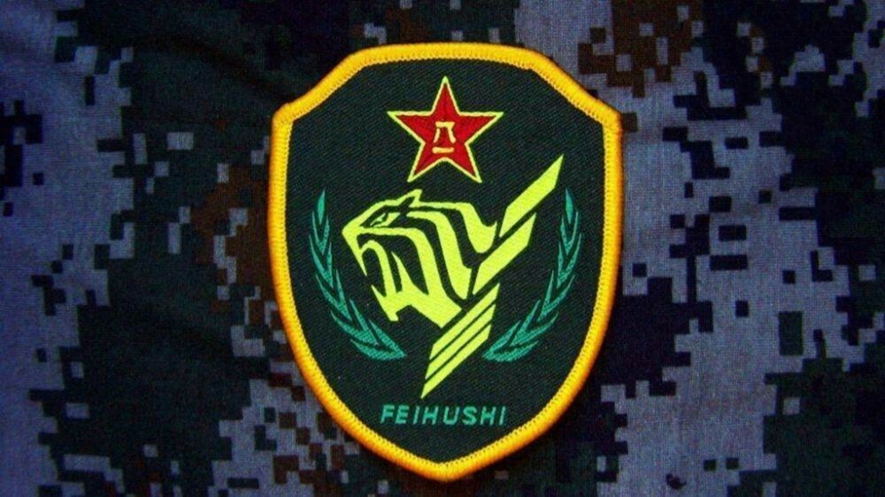 第13集团军臂章，荣耀与使命的象征，第13集团军臂章，荣耀与使命的徽章