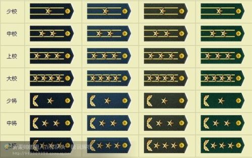 中国的军衔胸标等级及标志，历史沿革与制度解读，中国军衔胸标等级及制度解读，历史沿革与标志详解
