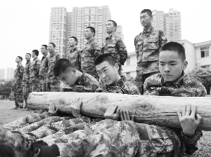 关于第十四集团军刘师长的故事与贡献，第十四集团军刘师长的传奇故事与卓越贡献