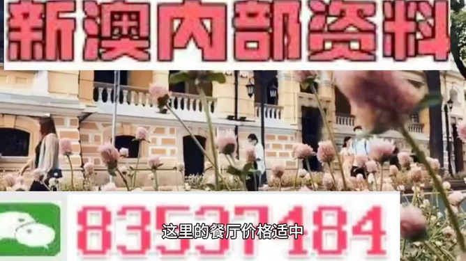 澳门最准最快开奖资料，探索彩票世界的精准指南，澳门彩票开奖资料揭秘，精准指南助你探索彩票世界