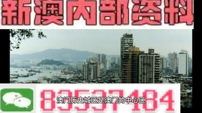 澳门精准资料免费，探索与解析，澳门精准资料解析与探索