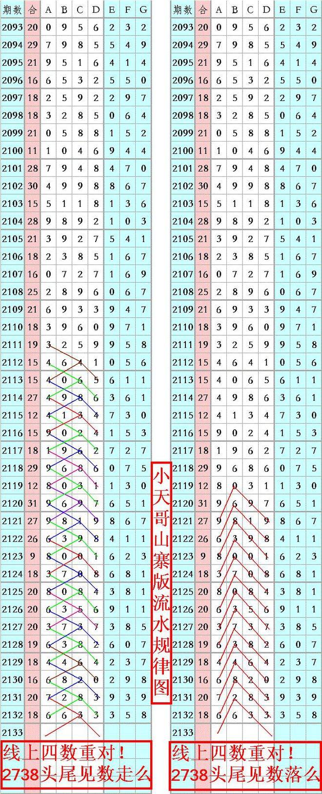 王中王一肖平特中的奥秘与探索，王中王一肖平特中的奥秘揭秘与探索之旅