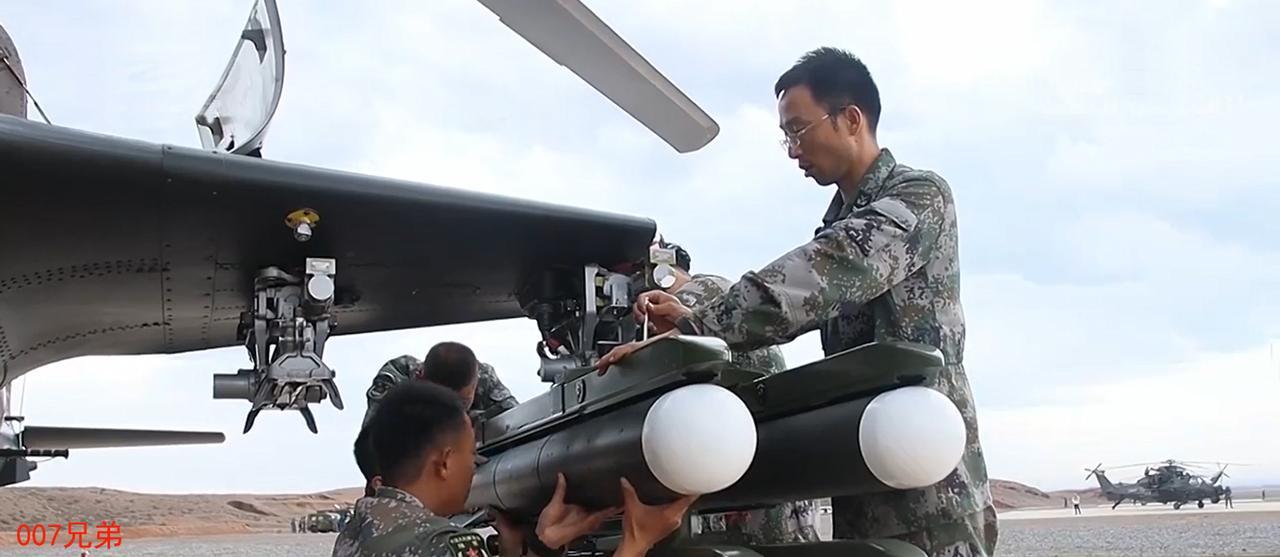 武直-19成员，卓越团队的力量与使命，武直-19卓越团队，力量与使命的荣耀之旅