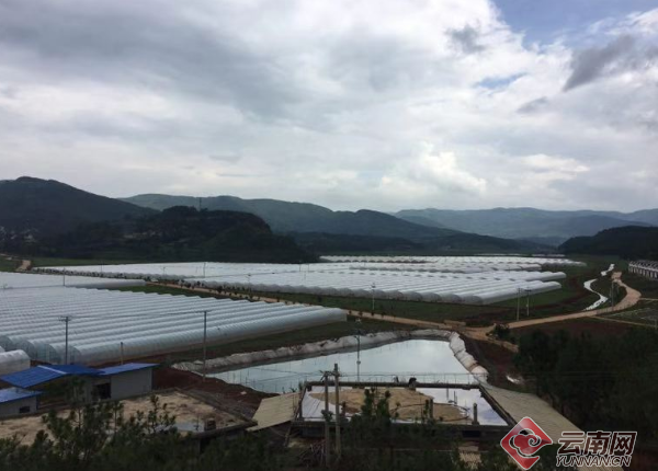 探究中国国防力量中的关键力量，第十四集团驻地的重要性与影响，中国国防力量中的关键力量，第十四集团驻地的重要性与影响探究