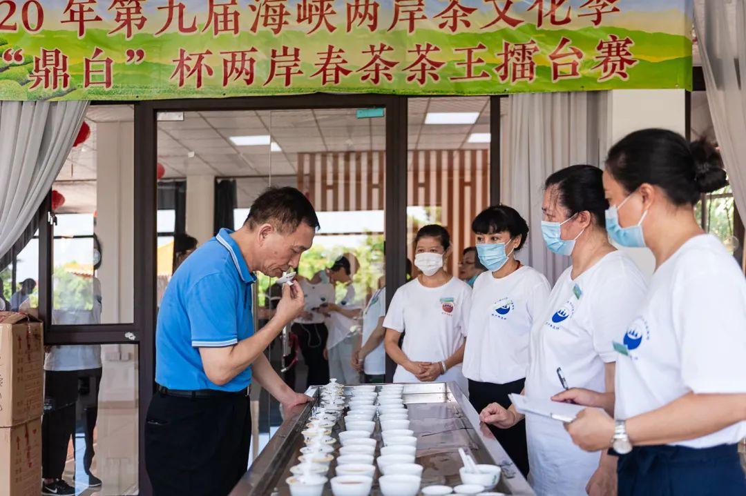 海峡两岸最新一期播放2020，共融与发展的新篇章，海峡两岸最新一期聚焦，共融发展的2020新篇章