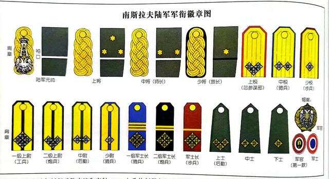 二战时期中国军衔等级及标志，历史的印记与时代的记忆，二战时期中国军衔等级及标志，历史的印记与时代的记忆回顾