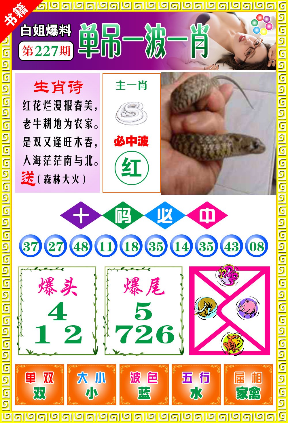 最准的一肖王中王，探寻生肖文化中的神秘力量，探寻生肖文化中的神秘力量，最准的一肖王中王