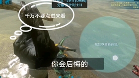 和妈妈的荒岛生活手机版，生存与亲情的交织之旅，荒岛生存之旅，与妈妈共度挑战，亲情与生存的交织