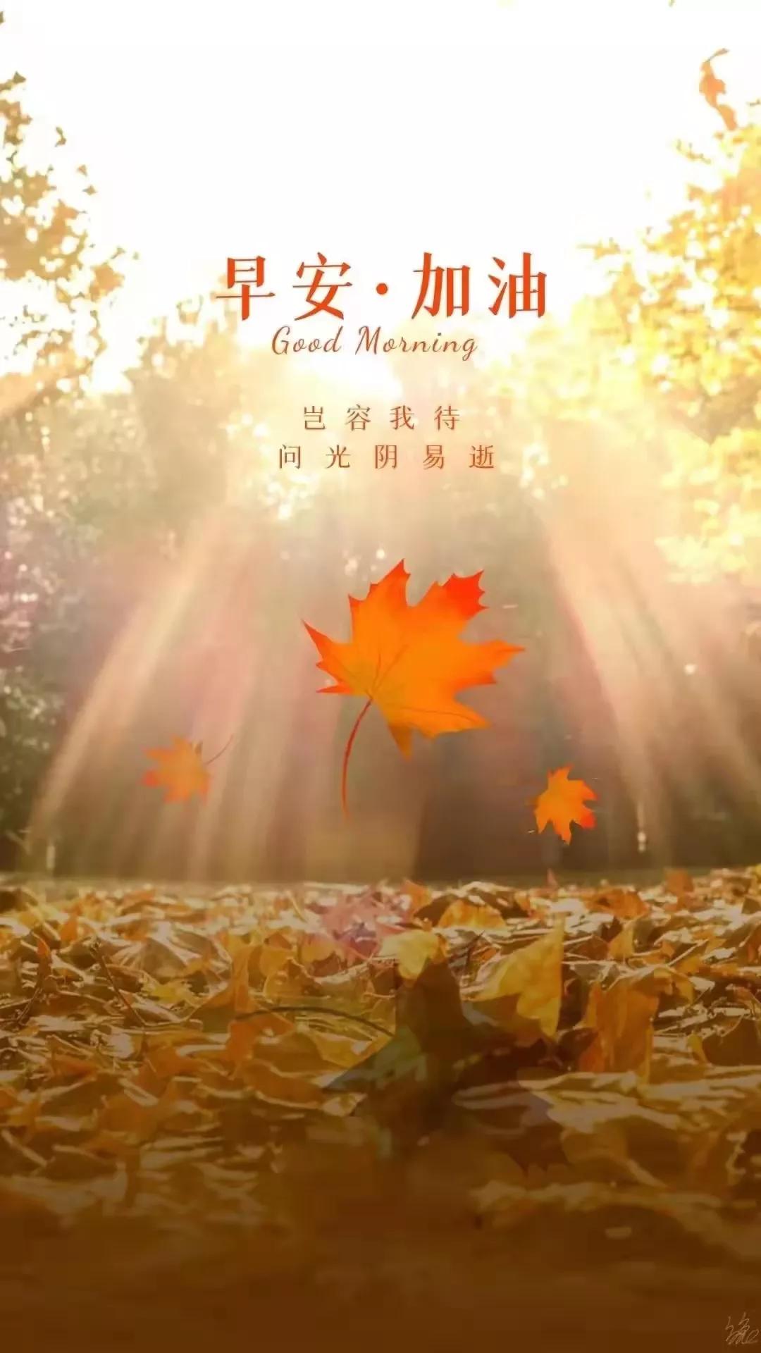 回顾