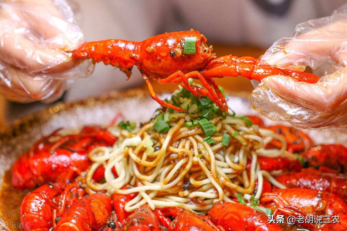 万吨大驱无锡舰最新训练现场，展现强大的实力与先进的训练理念，万吨大驱无锡舰先进训练理念展现强大实力与风采
