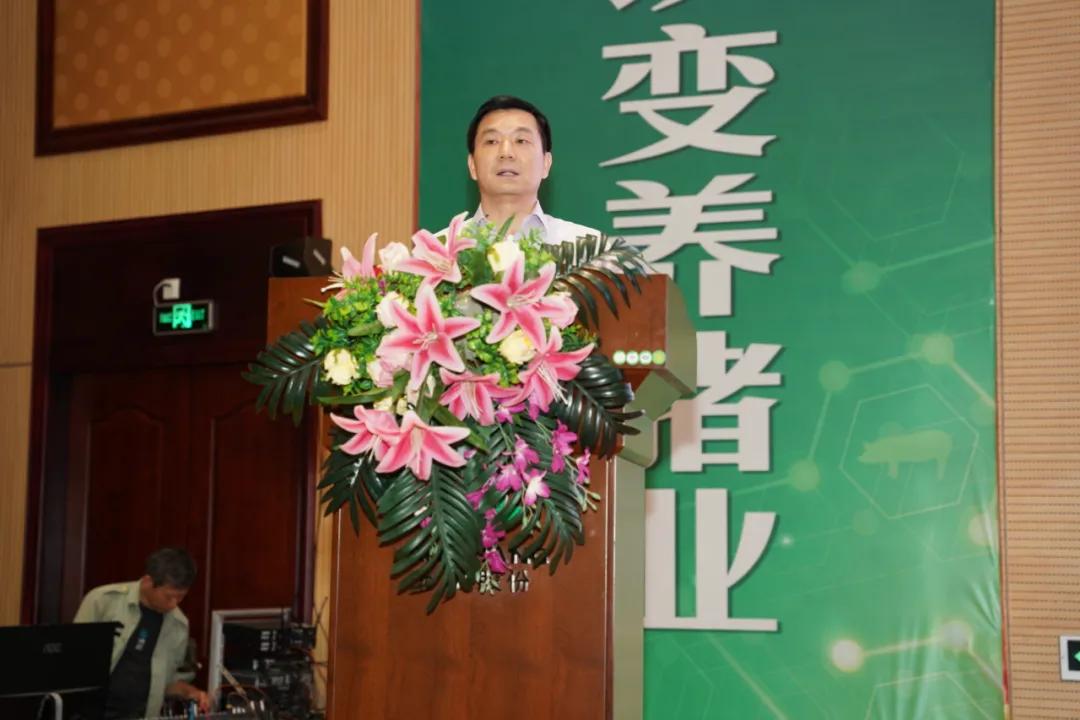 最新消息，今年北方雨季的态势与影响分析，北方雨季最新态势及其影响分析