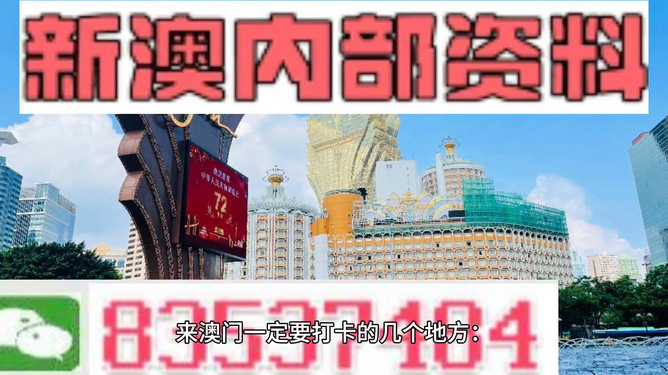 新澳门正版资料免费看，探索与发现，探索与发现，新澳门正版资料免费看