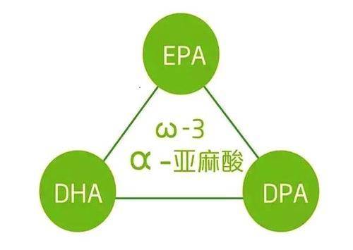 直18长度，探索与解析，直18长度，深度探索与详细解析