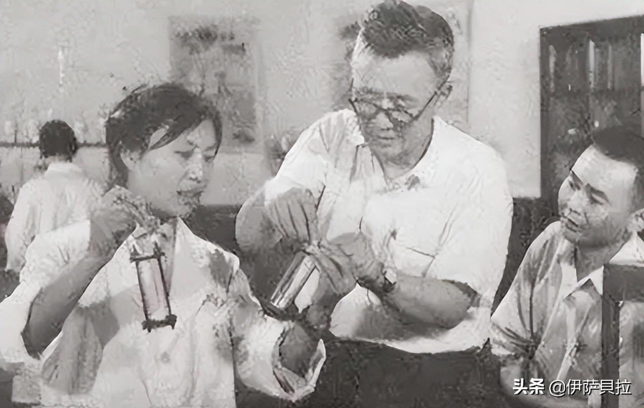 深度解读与分析