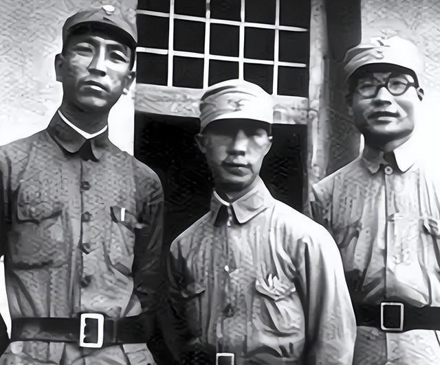 海南岛战役总结，历史经验与未来启示，海南岛战役的历史经验及其未来启示