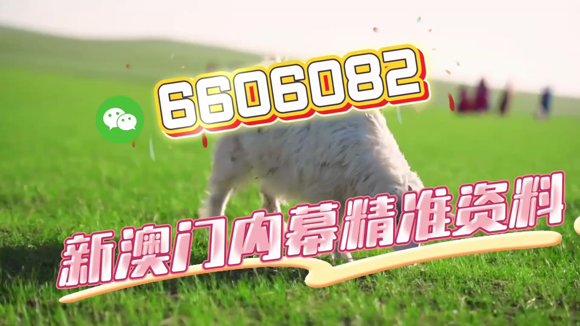 澳门一肖一码特准