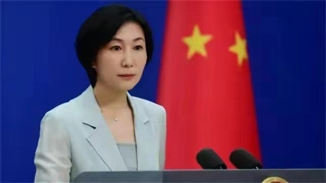 中央新闻发言人毛宁的简历与职业生涯概述，中央新闻发言人毛宁的职业生涯概览与简历