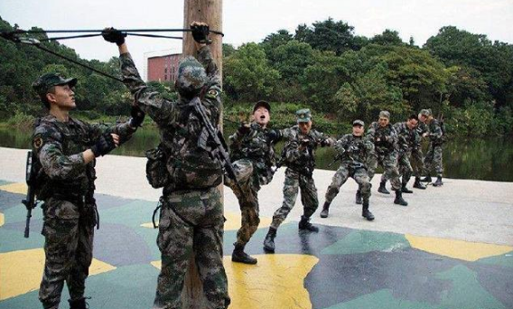 中国各省征兵数量，探索与解析，中国各省征兵数量深度解析与探索