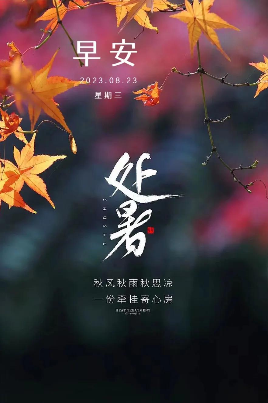 处暑，秋意渐浓，收获的季节悄然来临，处暑时节，秋意浓厚，收获季节的序曲启动