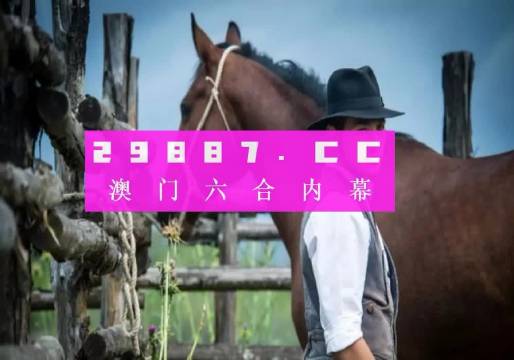 澳门内部资料精选大全，历史、文化、经济与社会发展的多维视角，澳门多维视角精选资料，历史、文化、经济与社会发展概览