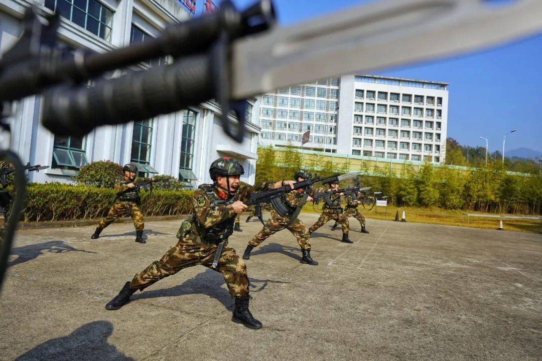 集团军与武警，两种力量的优势与特点比较，集团军与武警的力量优势与特点比较