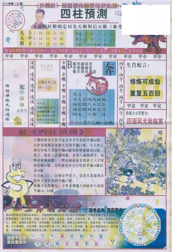 澳门王中王谜语猜一肖，一场智慧与运气的较量，澳门王中王谜语揭秘，智慧与运气的较量，揭晓生肖谜底