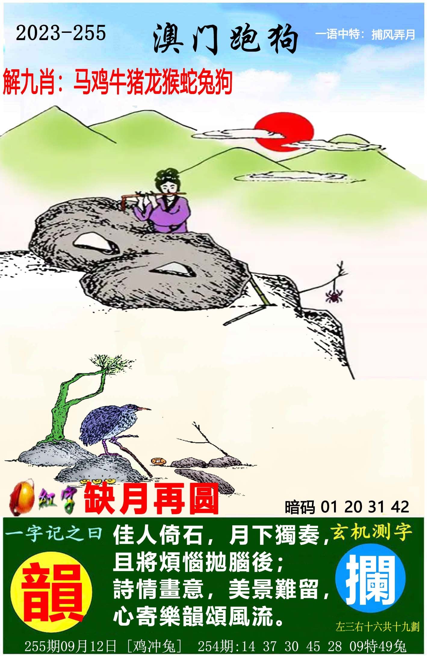澳门天天开好彩大全第53期，探索与期待，澳门第53期天天开好彩，探索与期待的新篇章