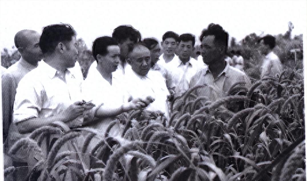 打仗是为了什么，深度解读战争背后的意义与价值，深度解读战争背后的意义与价值，战争的目的何在？