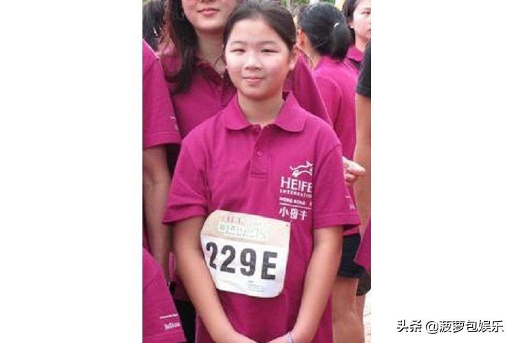 直-18与直八改，深入解析中国直升机技术的革新与演变，中国直升机技术革新与演变，直-18与直八改深度解析