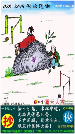 开奖探索与解析
