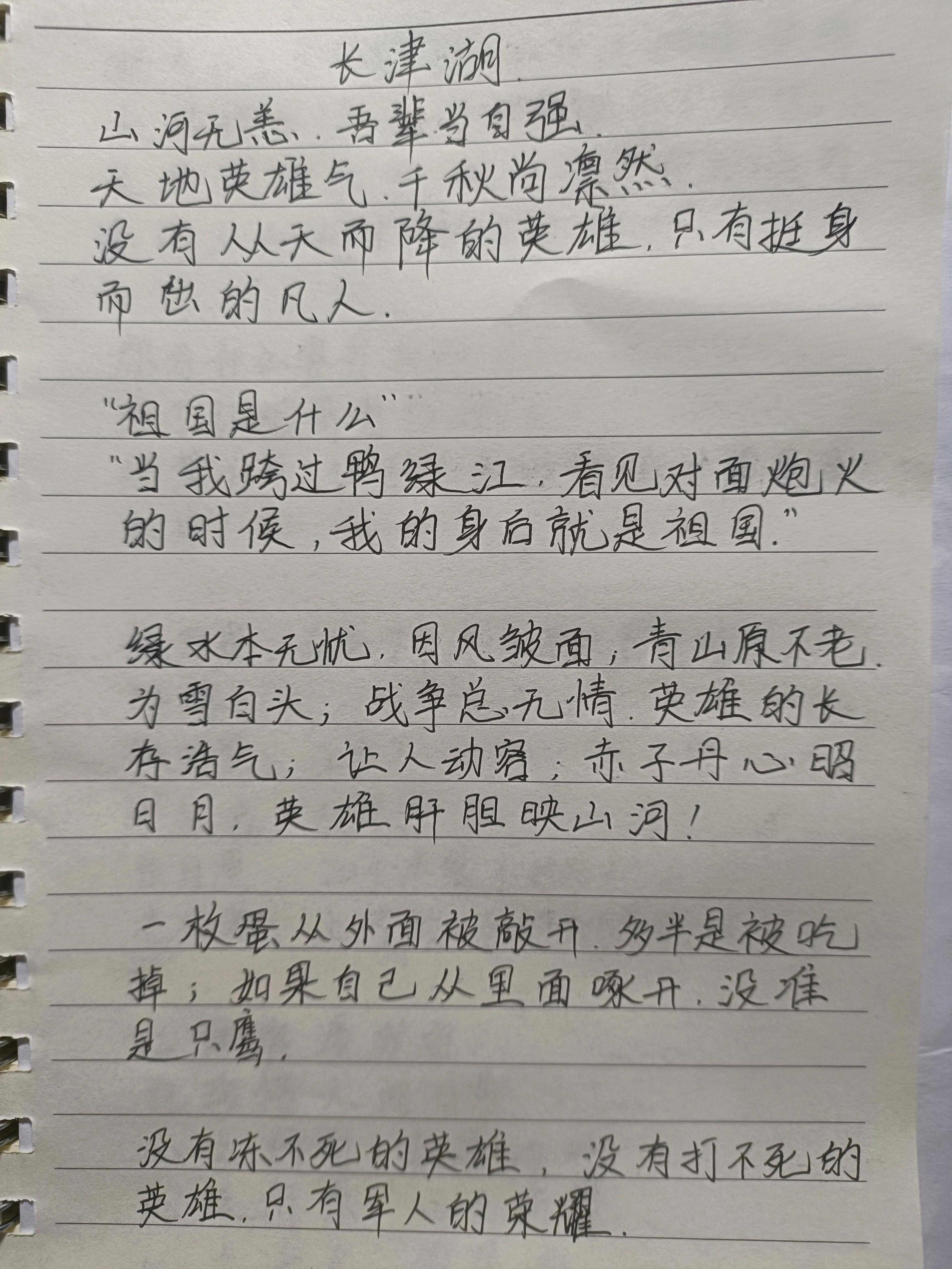手抄报内容展示