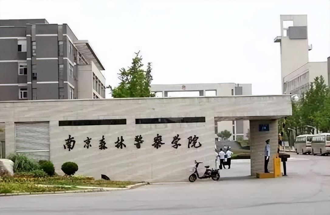 侦查学出来是什么警察，侦查学毕业后从事的警察职业及标题，注，这个标题仅作参考，具体的标题可能会因为文本内容的差异而有所变化。