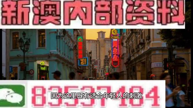 澳门内部资料精准大全2023，深度解读与预测分析，澳门内部资料深度解读与预测分析（2023版）