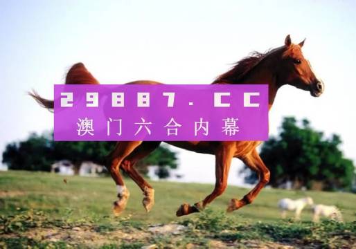 大三巴一肖一码一特法律风险解析，大三巴一肖一码一特的法律风险详解