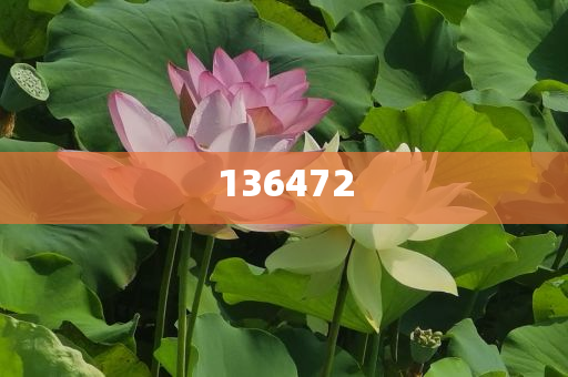 探索未来,2025新澳天天精准大全之谜,揭秘未来奥秘,新澳天天精准大全探索之旅(2025版)