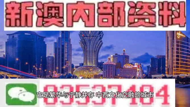 新澳门天天免费精准大全谜语探索与解读，澳门天天免费精准谜语探索与解读秘籍