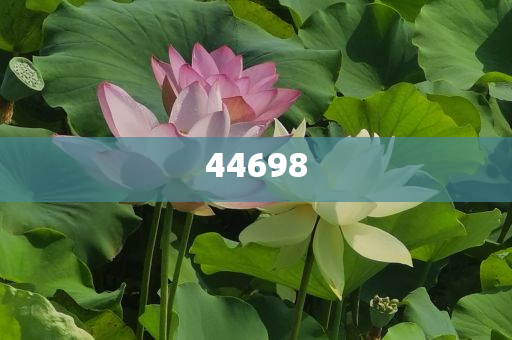 迈向2025，新澳天天开好好的时代，迈向2025，新澳的美好时代开启