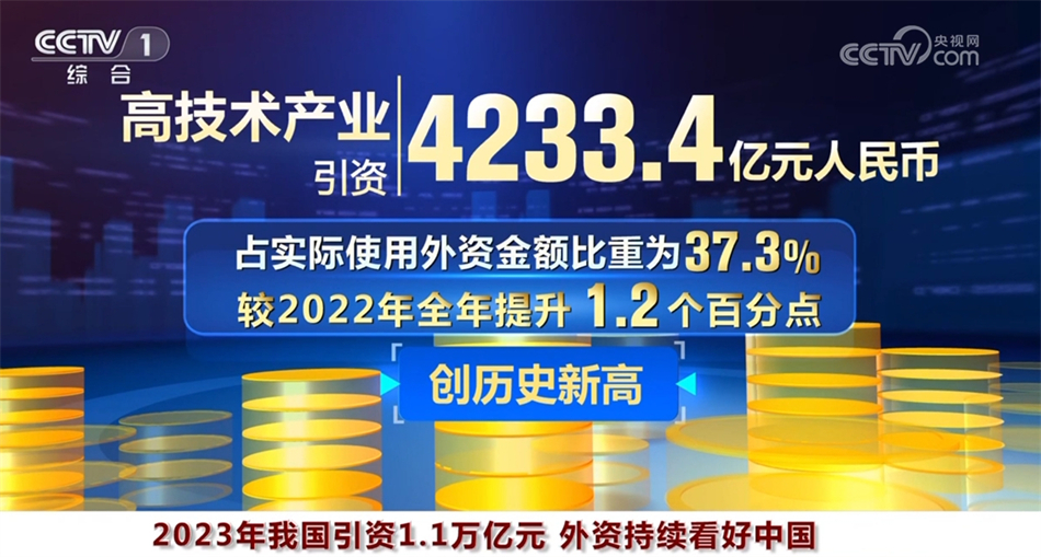 王中王中特点亮——数字时代的独特魅力与卓越成就，王中王中特点亮，数字时代的卓越成就与独特魅力展示