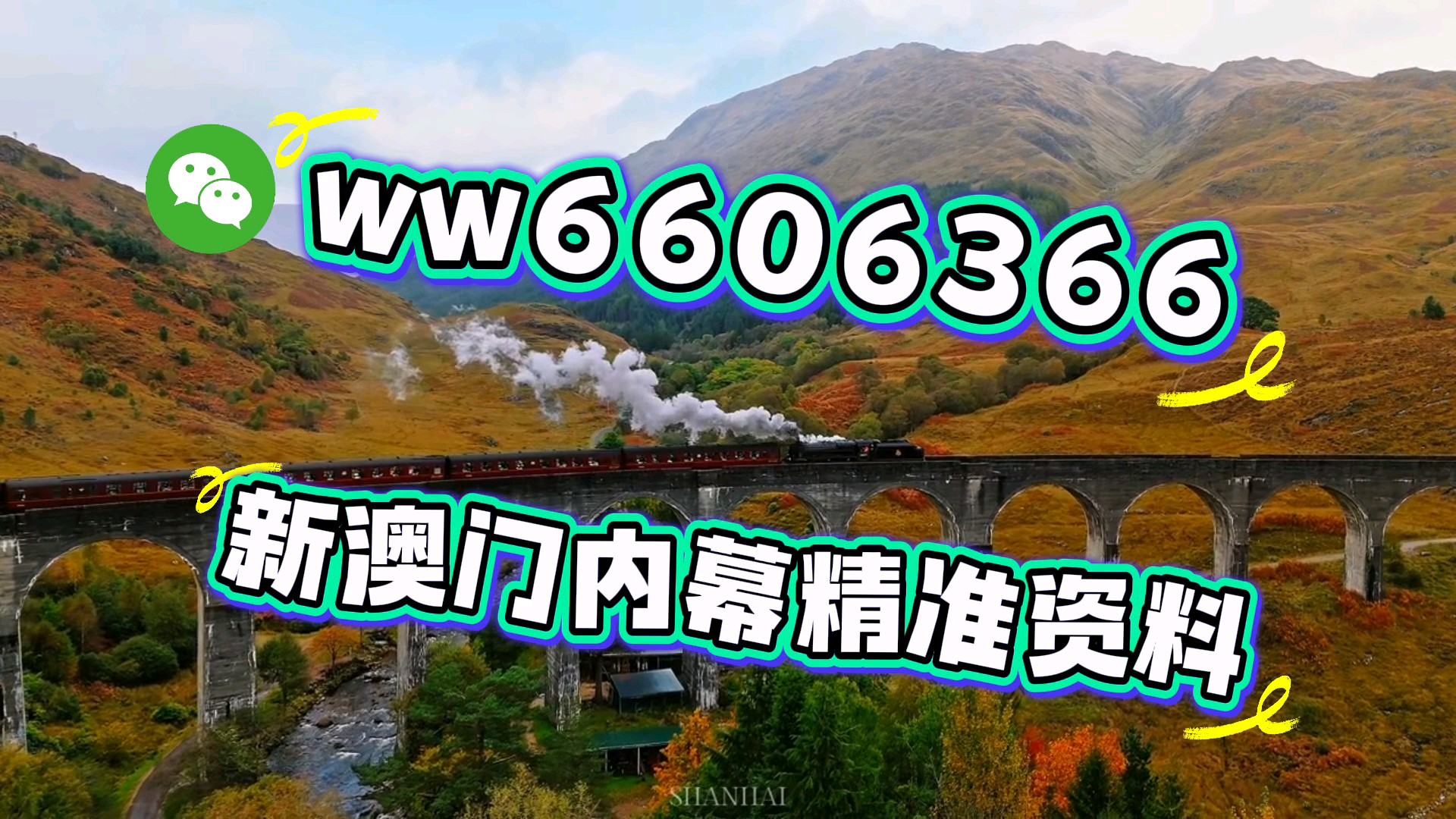 澳门4949最快开奖直播今天，探索与体验，澳门4949最快开奖直播，今日探索与体验之旅