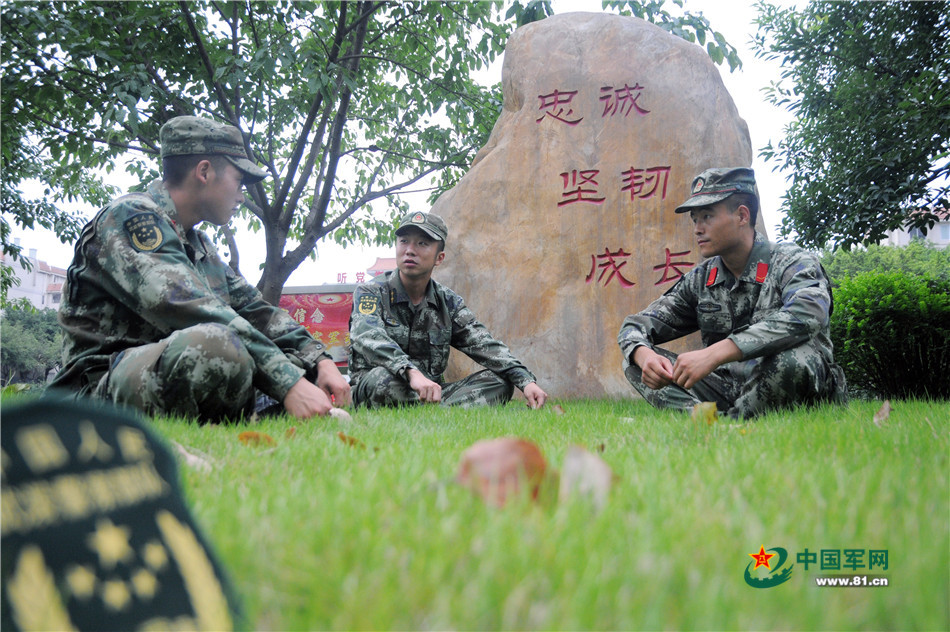 武警114师，英勇忠诚的先锋力量，武警114师，先锋力量的英勇忠诚