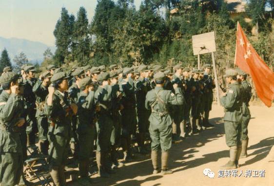 参战部队代号一览表，揭示战争背后的力量结构，参战部队代号一览表，揭示战争背后的力量博弈
