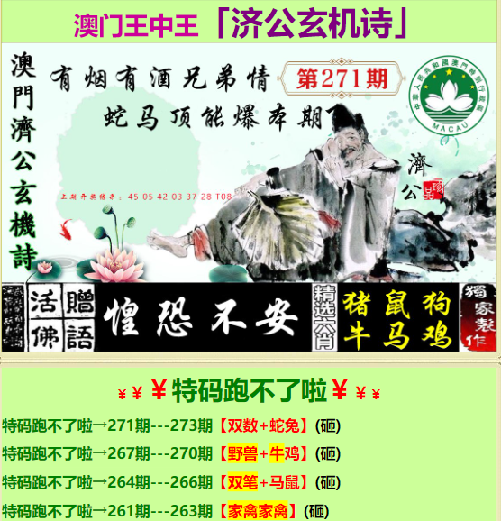 香港王中王挂牌一肖，揭秘背后的故事与真相，香港王中王挂牌一肖，真相揭秘背后的故事