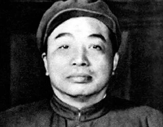 中国人民志愿军副司令概览，中国人民志愿军副司令概览，英雄群像与战争记忆