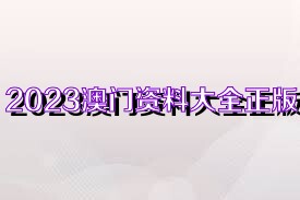老澳门资料大全正版资料2023年免费，澳门正版资料大全 2023年免费版揭秘