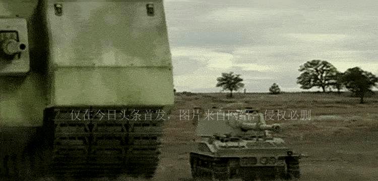 揭秘P1000巨鼠，一场超越想象的科技壮举，揭秘科技巨鼠P1000，超越想象的科技壮举揭秘