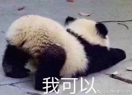 澳门四不像正版深度解析，探索四不像背后的奥秘，澳门四不像正版深度探索，揭秘背后的奥秘