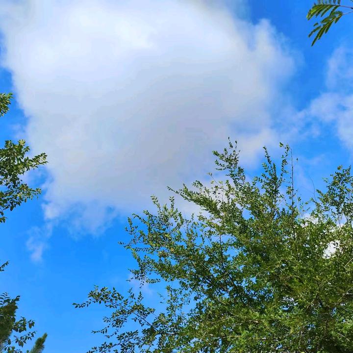 今天的日子，生活的韵律与意义，今日时光，生活的韵律与意义探寻