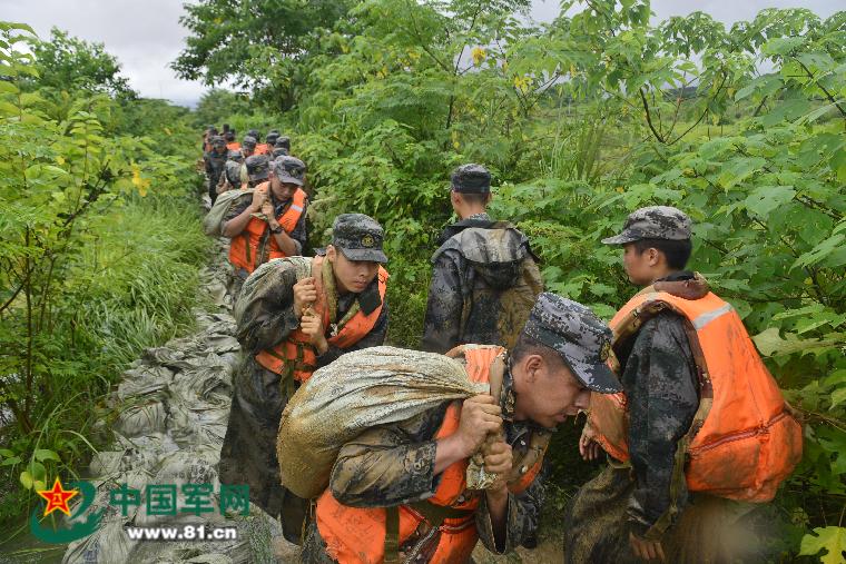 关于中国人民解放军陆军第12集团军历任主官的研究，中国人民解放军陆军第12集团军历任主官研究概览