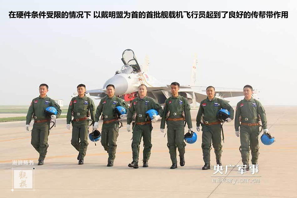 新浪军事博客中的金鸿评论，深度分析与观察，新浪军事博客金鸿评论，深度分析与观察